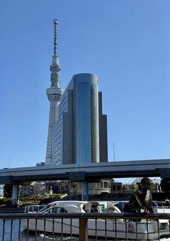 隅田川を隔てたスカイツリー 隅田川を隔てたスカイツリー 川,隅田川,柵の写真素材