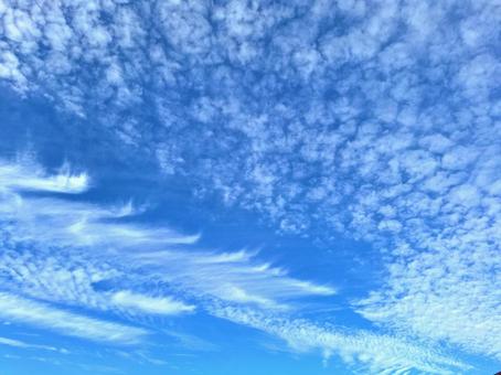 うろこ雲と流れる雲のある青空 うろこ雲と流れる雲のある青空の写真