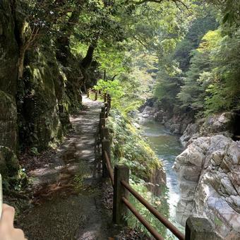 川のある自然の風景の写真