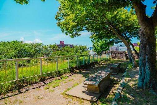Photo, iwate, morioka, 2025, 