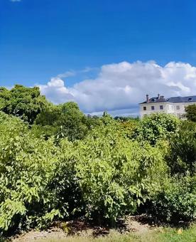 フランスの田舎町 フランスの田舎町 フランス,ヨーロッパ,田舎町の写真素材