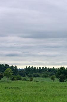 曇り空 曇り空の写真