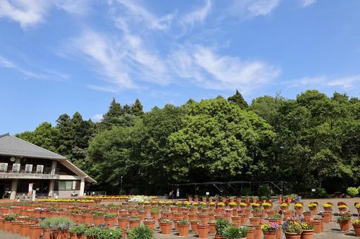 あけぼの山農業公園 あけぼの山農業公園の写真
