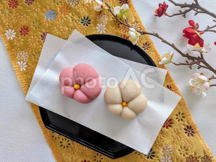 和菓子紅白（練り菓子）背景白＆梅の花 和菓子,練り菓子,紅白の写真素材