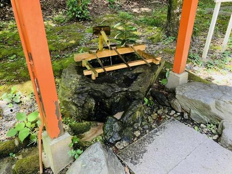 Photo, kashihara shrine, kashihara city, nara prefecture, a shrine, 