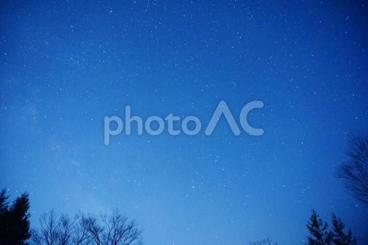星空と木 星,空,星座の写真素材