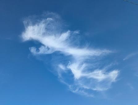 青空と雲2507の写真