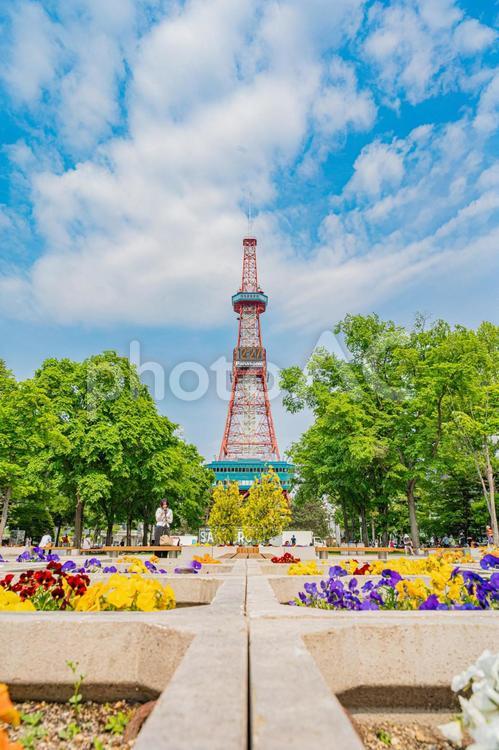 北海道　札幌市　大通公園テレビ塔の風景 北海道,札幌市,札幌の写真素材