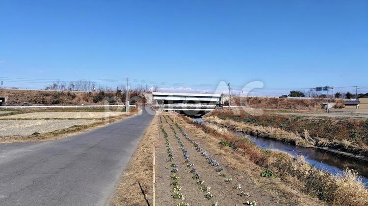 用水路と農道と花壇 道,農道,用水路の写真素材