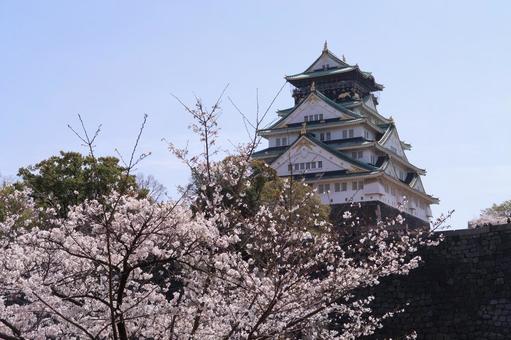 Osaka Castle, castle tower, cherry blossoms, blue sky, Somei Yoshino cherry blossoms, JPG