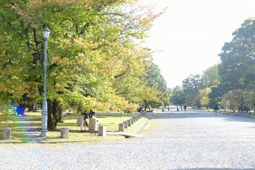 Walking path in the park, JPG