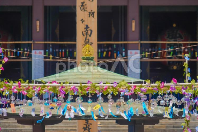 風鈴市の賑わいと花飾り 風鈴,夏,花の写真素材