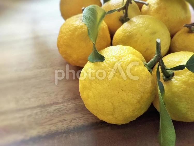 ゆずたくさん ゆず,果物,ゆず湯の写真素材