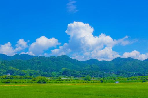 田園を進む一本道 田園を進む一本道 一本道,田園,青空の写真素材
