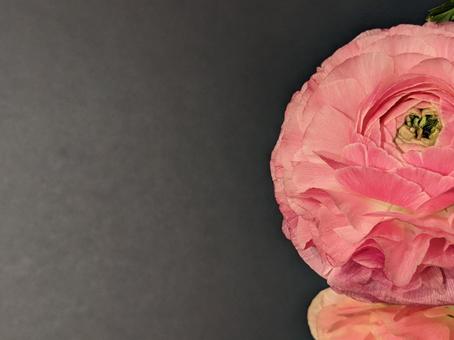 花 壁紙 花 壁紙の写真