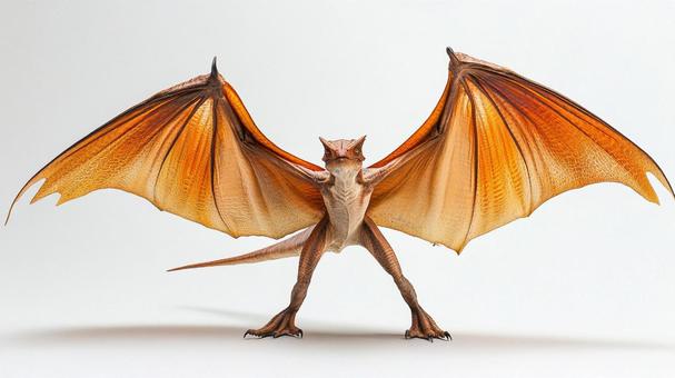 ディモルフォドンのイメージ4 ディモルフォドンのイメージ4の写真