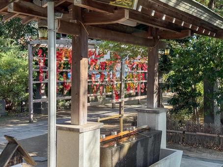 神社の手水舎 神社,寺,寺院の写真素材
