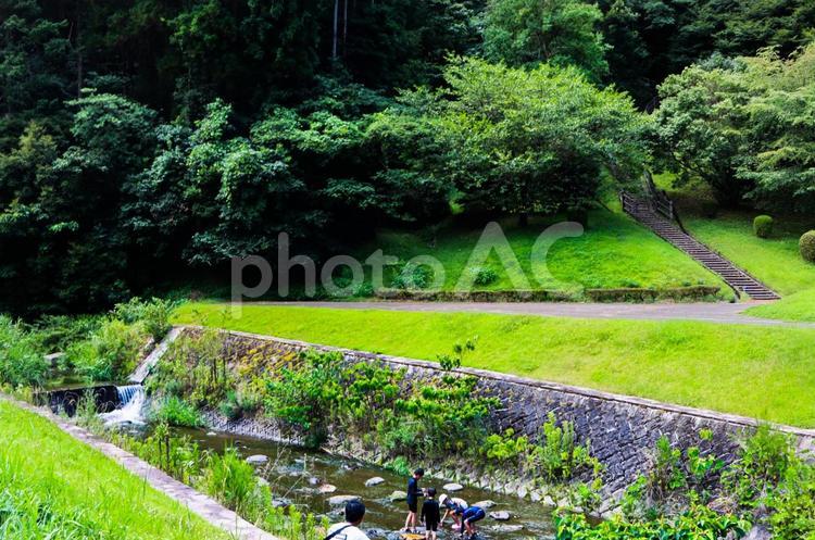 川遊び 田舎,田舎暮らし,自然の写真素材