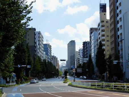 東京白山の都道301号白山祝田田町線 白山通り,白山,文京区の写真素材