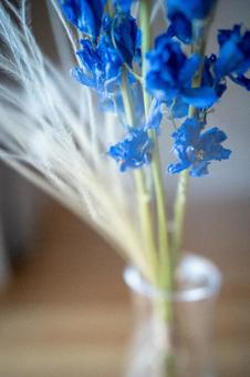 ドライフラワー ドライフラワーの写真