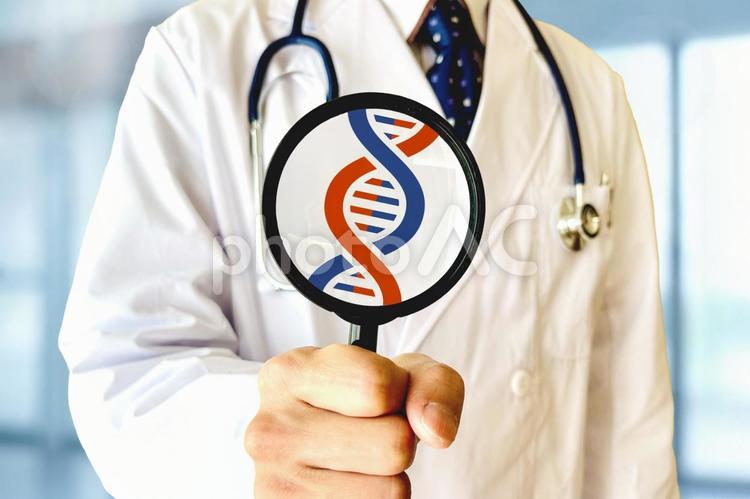 遺伝子の研究をする医師 遺伝子,dna,医療の写真素材