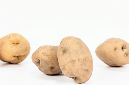 ジャガイモの写真