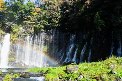 静岡 虹がかかる白糸の滝 静岡 虹がかかる白糸の滝 白糸の滝,静岡,滝の写真素材