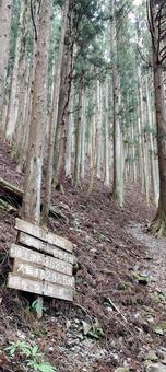 登山 登山の写真