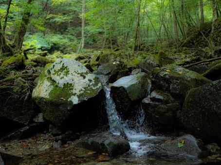 都民の森 川,都民の森,檜原村の写真素材