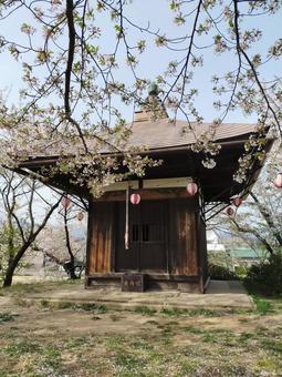 春の塚の上に立つ社 春の塚の上に立つ社 社,さくら,春の写真素材