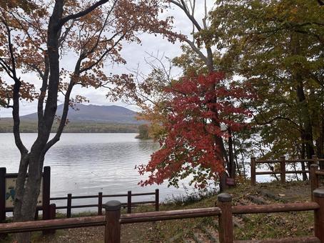秋の大沼２ 紅葉,もみじ,大沼の写真素材