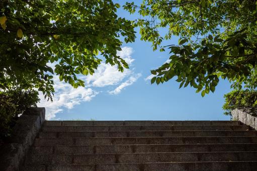 階段 階段 階段,青空,青春の写真素材