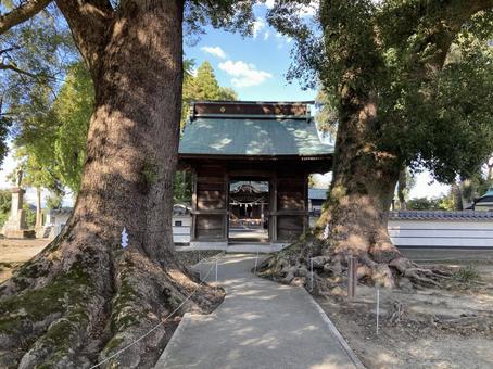 溝口竈門神社・楼門と御神木 竈門神社,福岡県筑後市,鬼滅の刃の写真素材