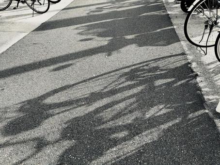 自転車置き場、自転車の影 自転車,自転車置き場,タイヤの写真素材