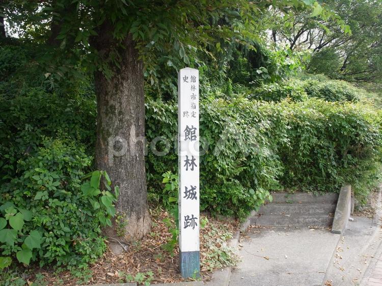 館林城跡 館林城,城跡,城の写真素材