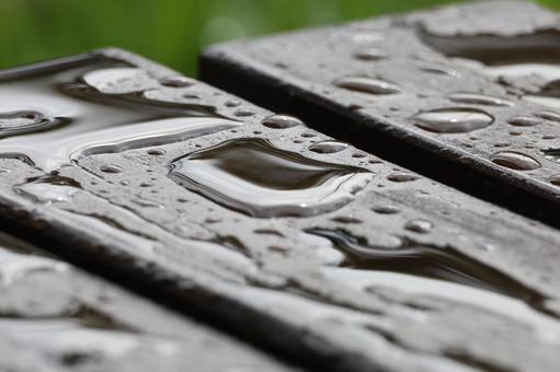 雨上がり 雨上がりの写真