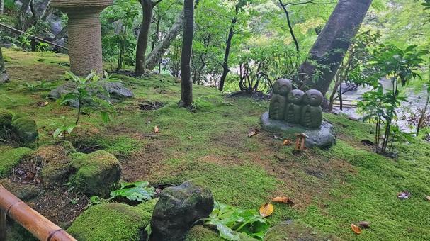 坂東33観音 04番 長谷寺 参道の石仏 坂東33観音 04番 長谷寺 参道の石仏 長谷寺,海光山,慈照院の写真素材