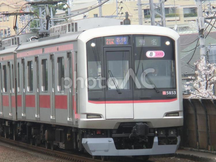東急東横線・目黒線で見られる車両 東急,東急電鉄,東横線の写真素材