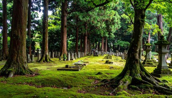 墓地・霊園・お墓の写真