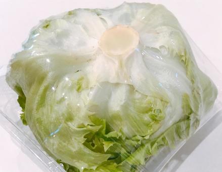 レタス レタス,野菜,やさいの写真素材
