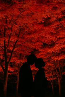 紅葉とシルエットの男女の写真