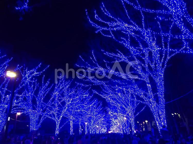 青の洞窟　渋谷 クリスマス,イルミネーション,青の写真素材