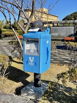太地町のイルカの青い郵便ポスト 太地町立くじらの博物館,太地町,和歌山県の写真素材