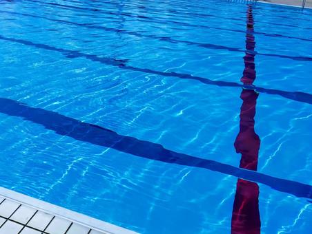 25メートルプール 25メートルプール プール,25mプール,夏休みの写真素材