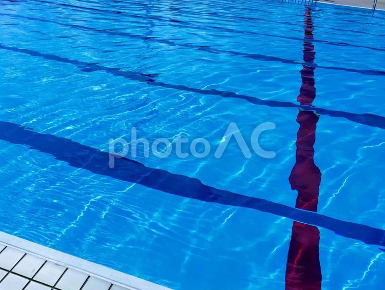 25メートルプール プール,25mプール,夏休みの写真素材