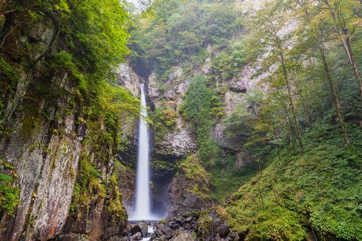根尾の滝　秋（ 飛騨小坂）  根尾の滝,渓流,渓谷の写真素材