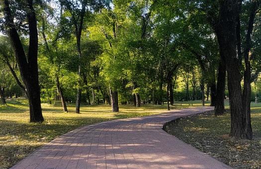 公園 公園の写真