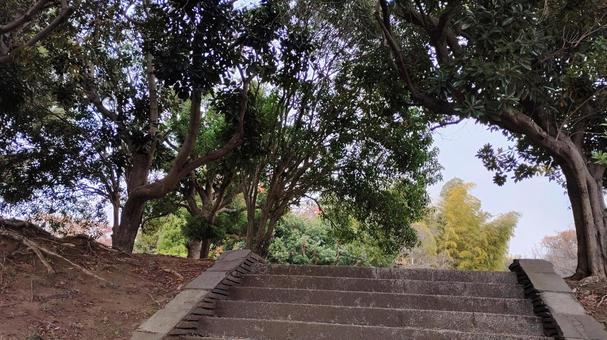 公園 公園,階段,パワースポットの写真素材