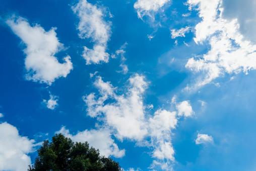 青空と白い雲 青空と白い雲の写真
