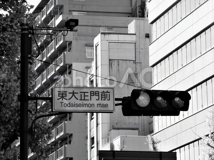 青信号２　モノクロ 東大正門前,標識,信号の写真素材